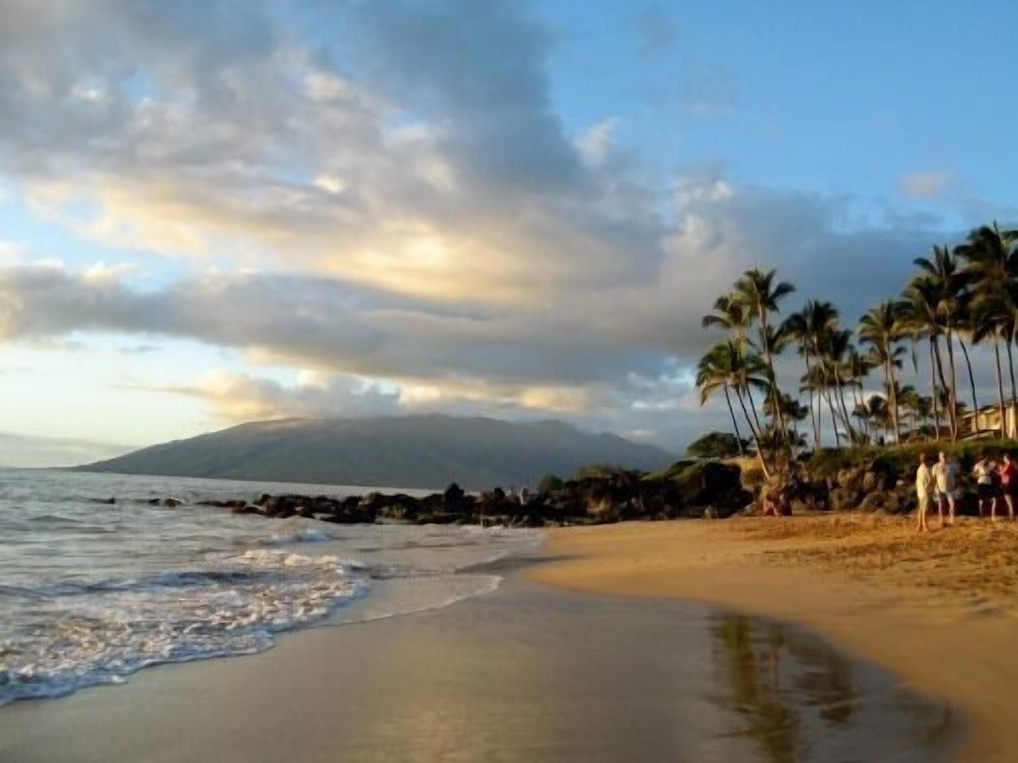A beach with palm trees and a mountain in the background.