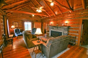 Smart TV, fireplace, DVD player, books