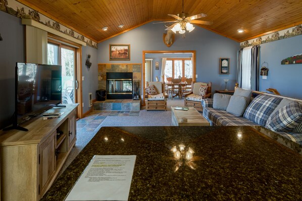 Smart TV, fireplace, DVD player, video library