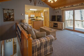 Smart TV, fireplace, DVD player, video library