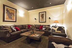 TV, fireplace, offices