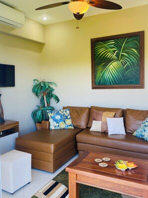 TV, fireplace, DVD player, books