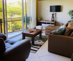 テレビ、暖炉、DVD プレーヤー、書庫