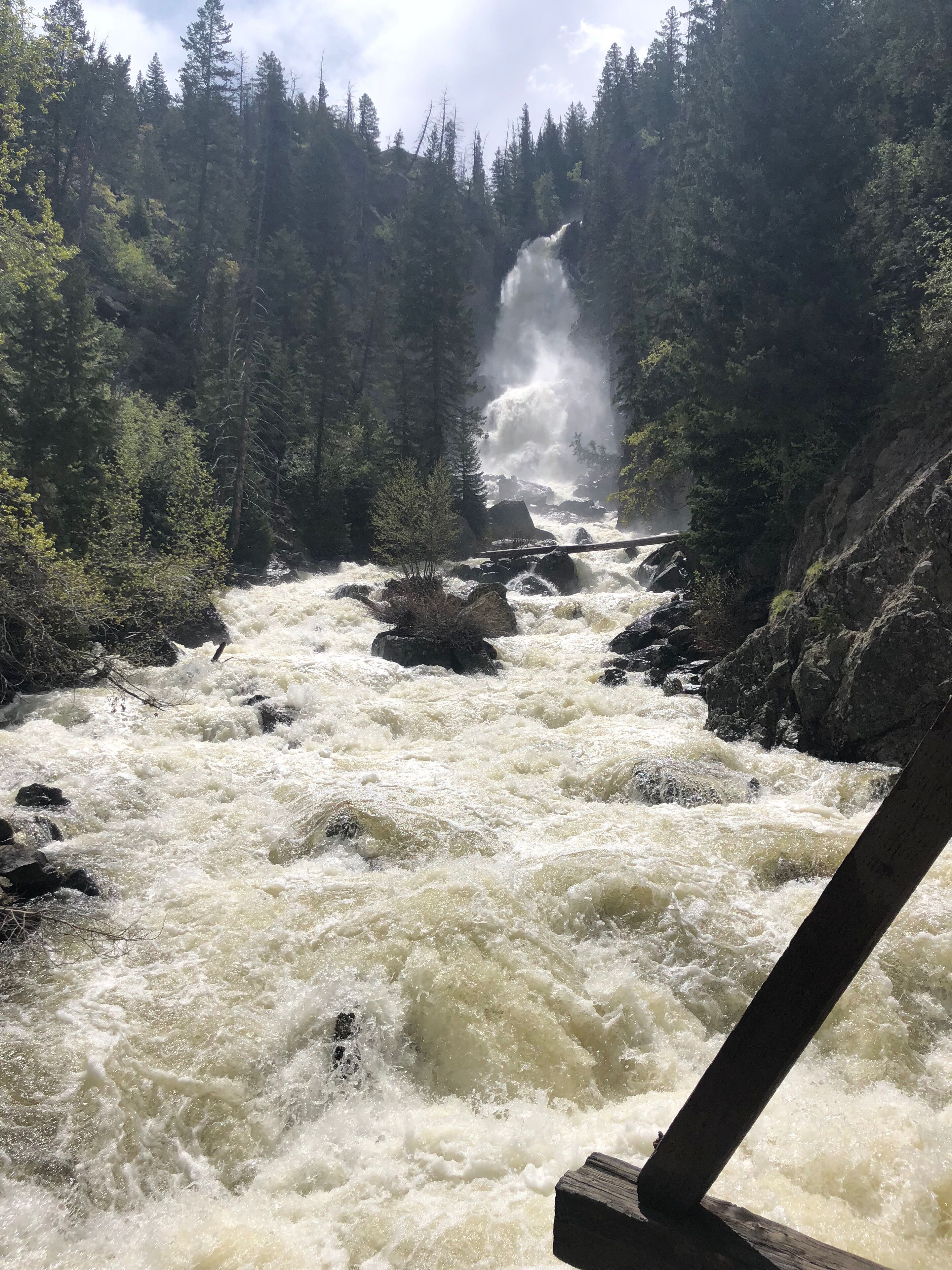 A river with a waterfall surrounded by dense forest.