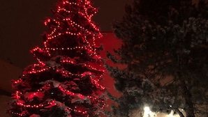 A snow-covered outdoor area with a Christmas tree adorned with red lights and a sign for "The Phoenix" hotel. - Lovely Phoenix 2bd. walk to base or take shuttle, pool/hot tub, garage,  ++ (Steamboat Springs)