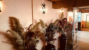 Un pasillo con tres plantas grandes en macetas, un aplique de pared y un techo de madera.