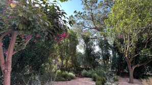 A garden with gravel paths, various shrubs, and trees with pink flowers. - Holiday rental villa with swimming pool in Begur, Aiguablava (Begur)