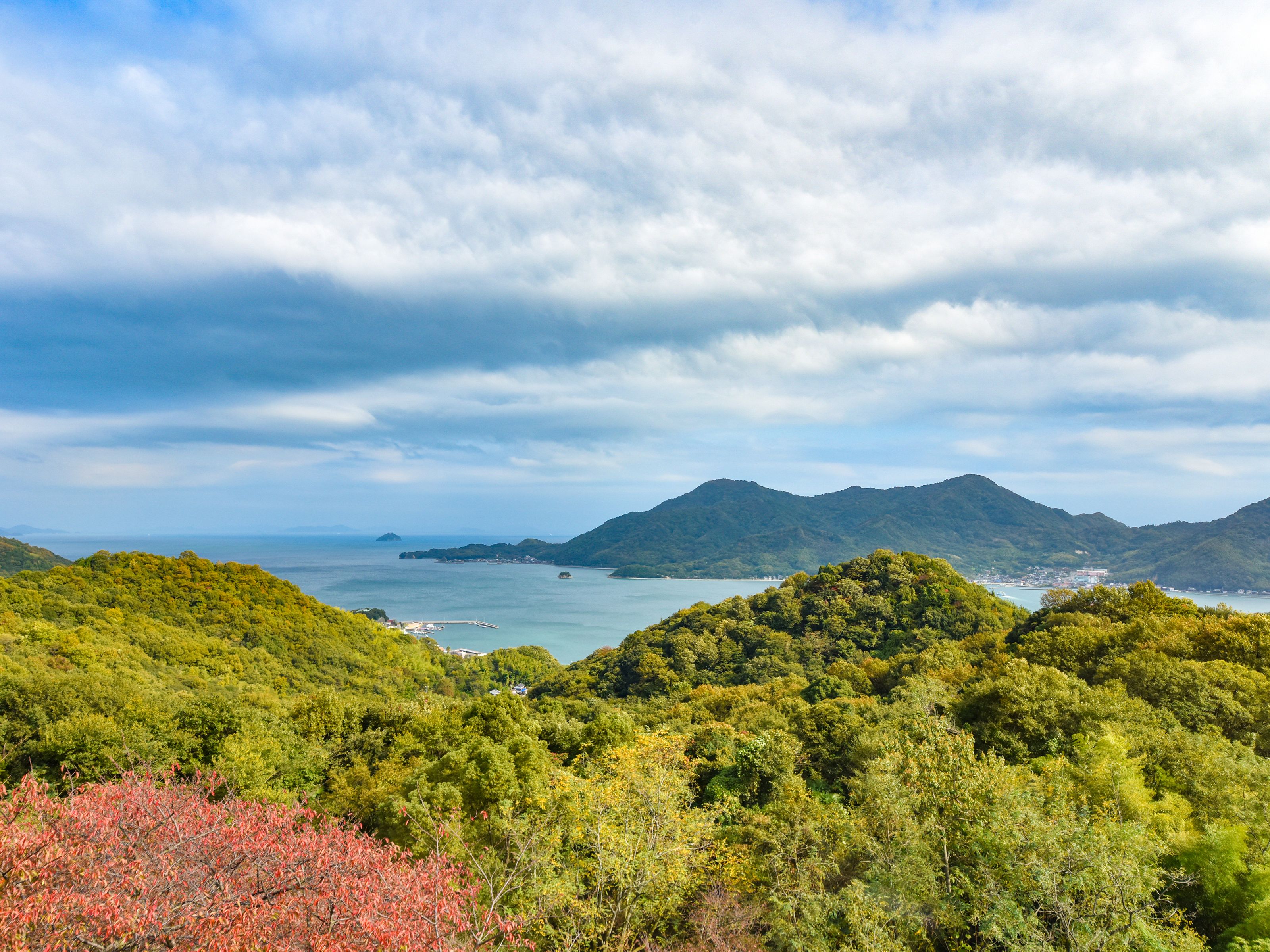 客房景观