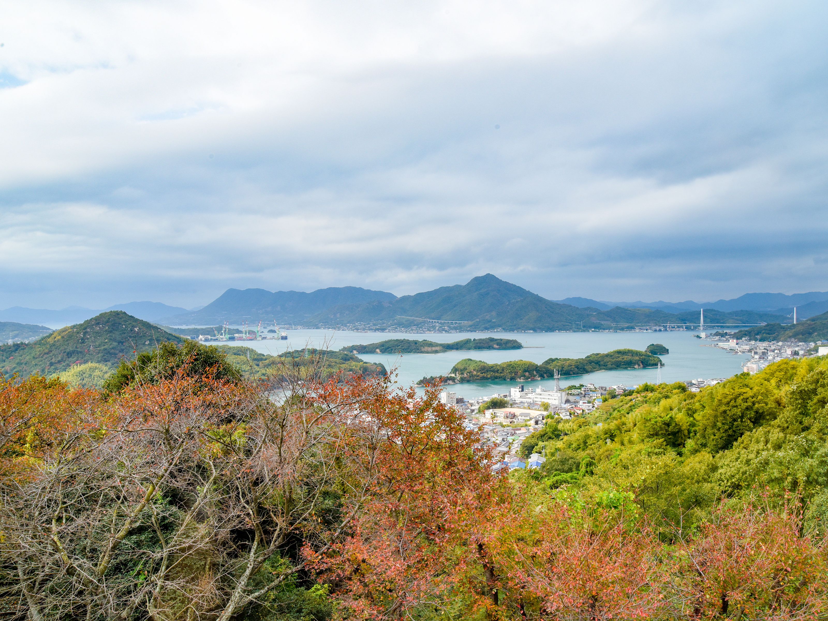 和室6畳 | 部屋からの景観