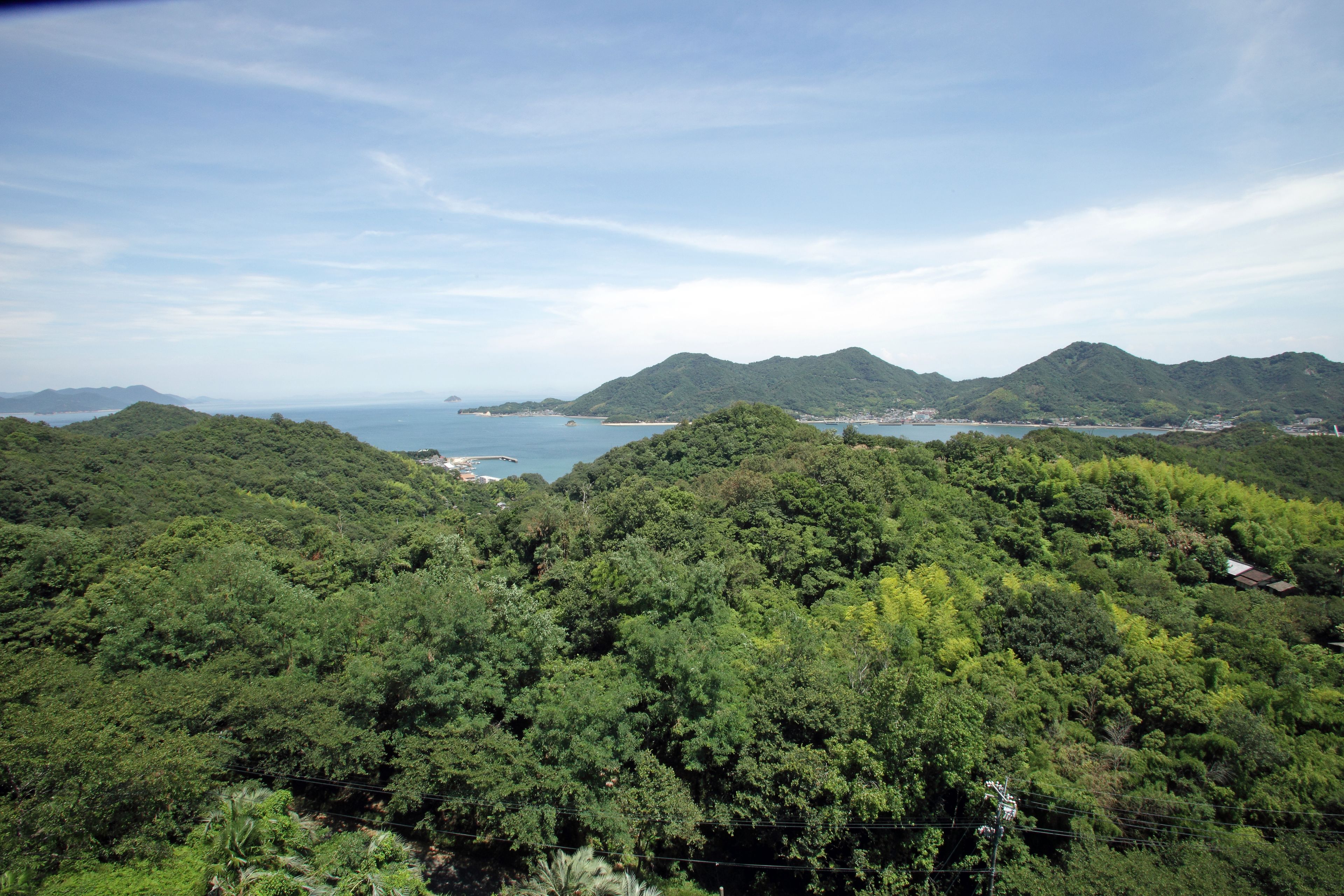 A lush, green landscape with dense forest and a distant view of a coastline.