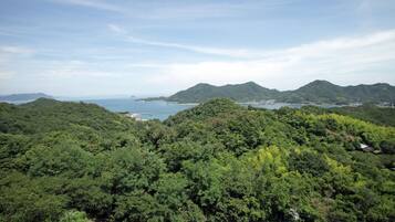 A lush, green landscape with dense forest and a distant view of a coastline.