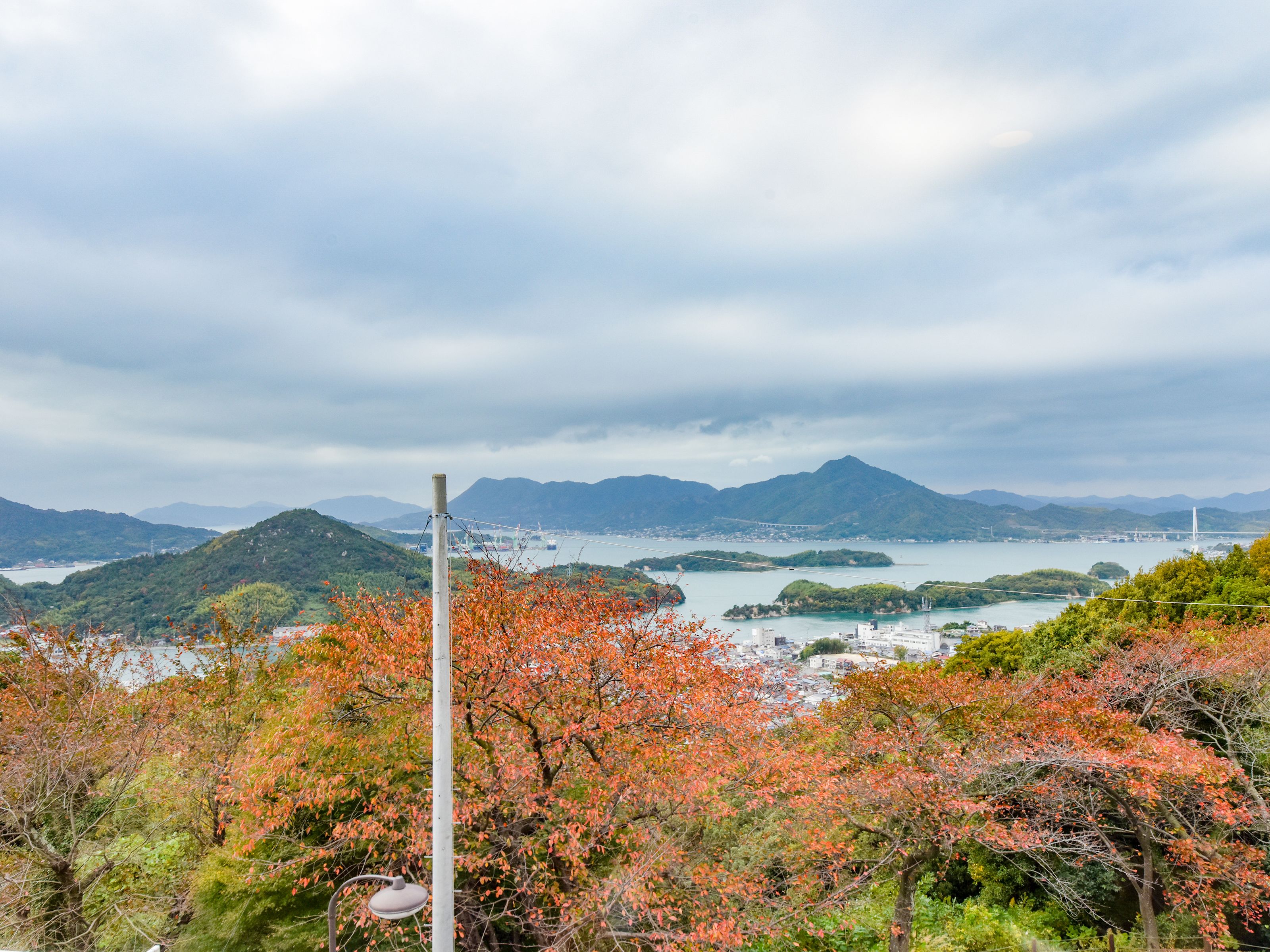 客房景观