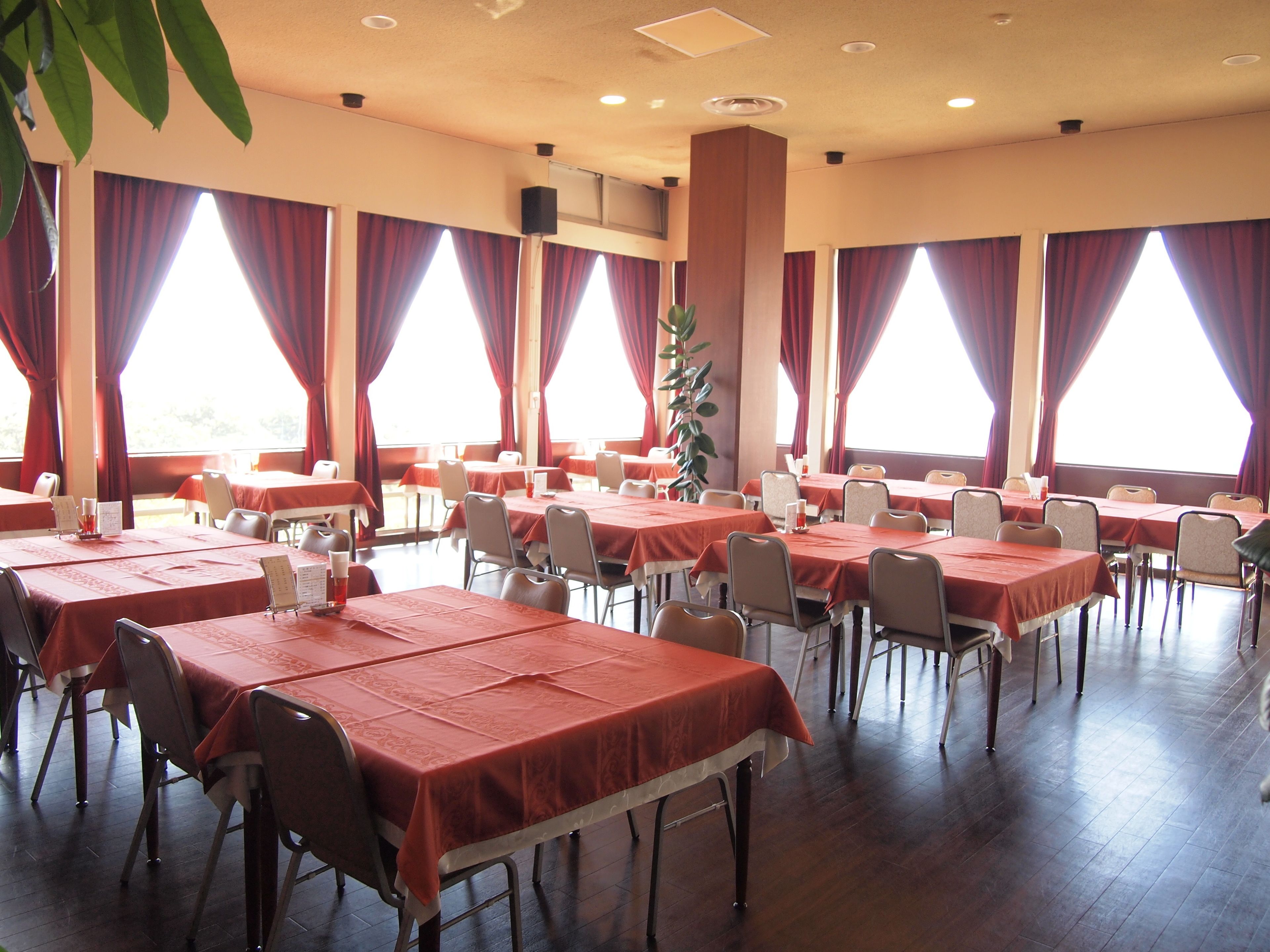 Un comedor con varias mesas y sillas, ventanas amplias con cortinas y una planta en el centro.