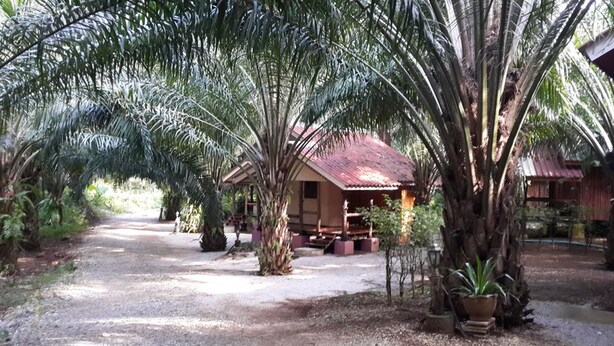 A rustic wooden building with a red roof, surrounded by palm trees and potted plants.