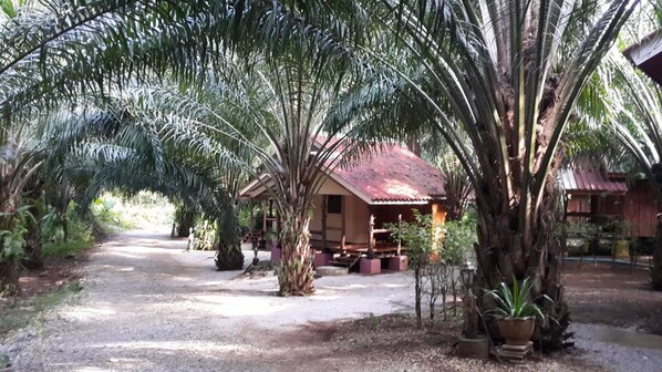 Property grounds - Shong Hai Resort (Khiri Rat Nikhom)