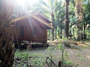 Vista frontal de la propiedad