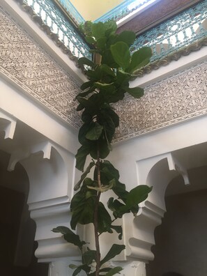 Uma planta trepadeira em um pilar branco dentro de um edifício com padrões intrincados em azul e branco no teto e nas paredes.