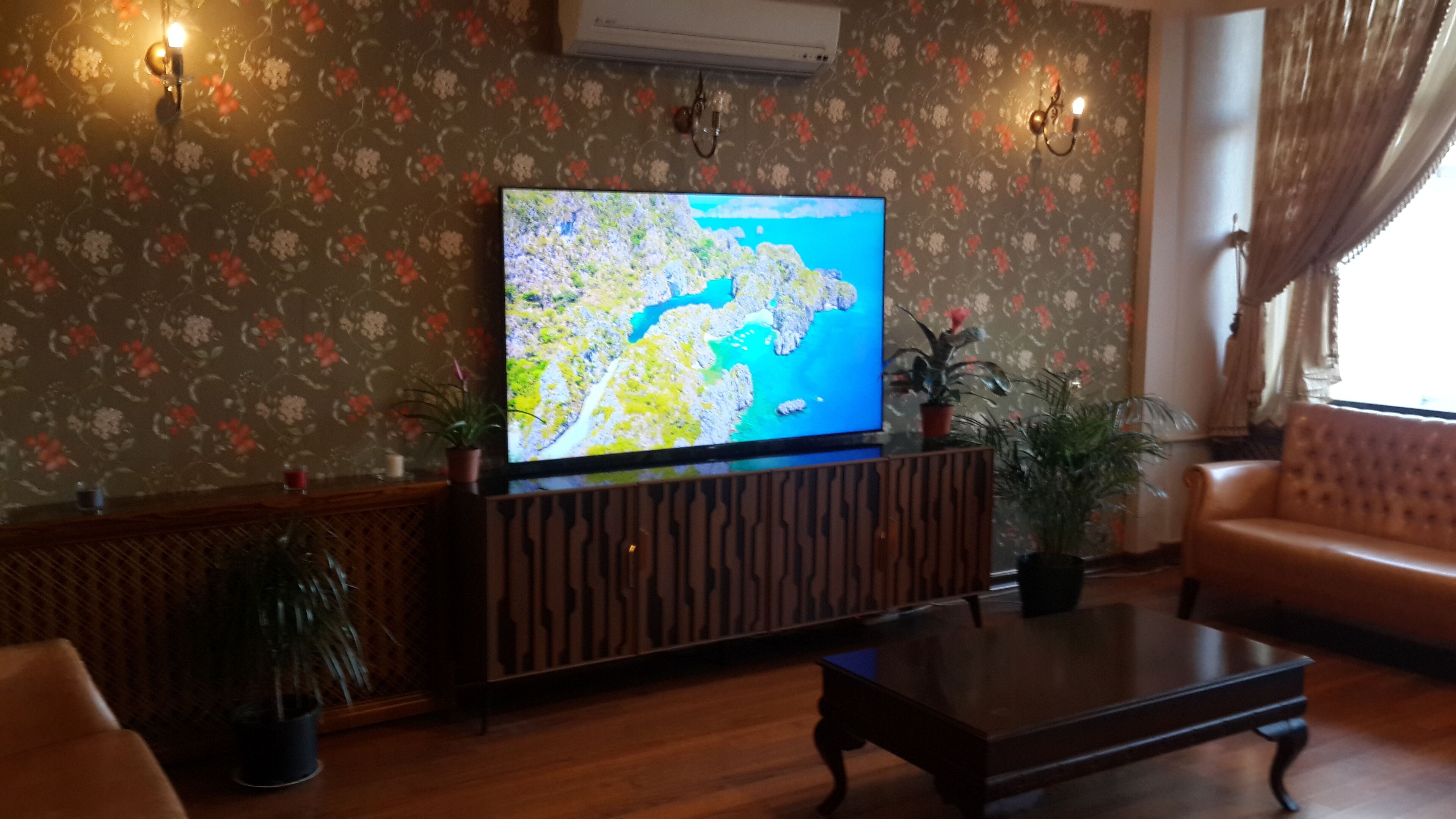 Una sala de estar con un televisor de pantalla plana sobre un soporte de madera, un sofá y dos plantas en macetas.