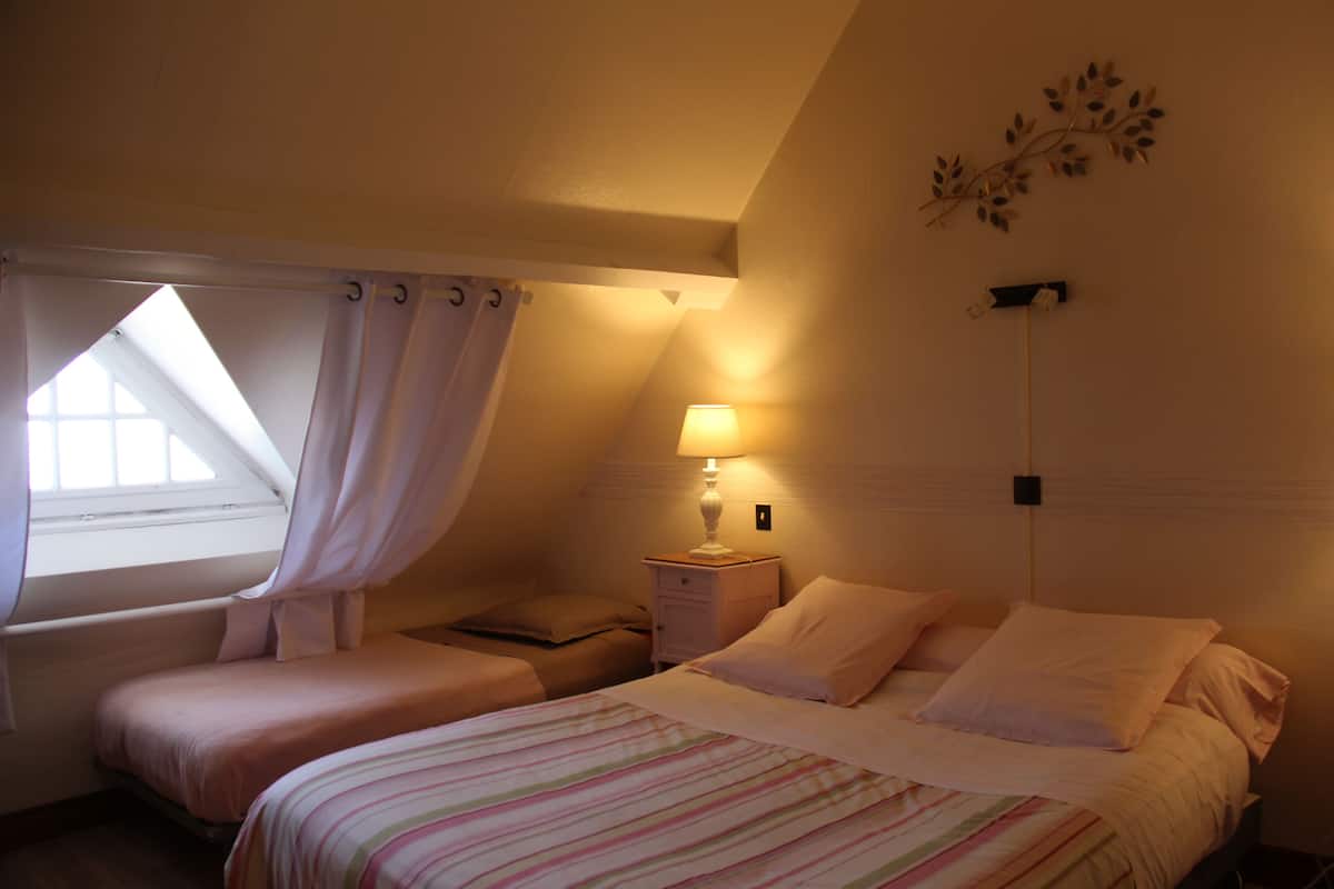 Une chambre avec deux lits, une fenêtre avec des rideaux, une lampe de chevet et une plante fixée au mur.