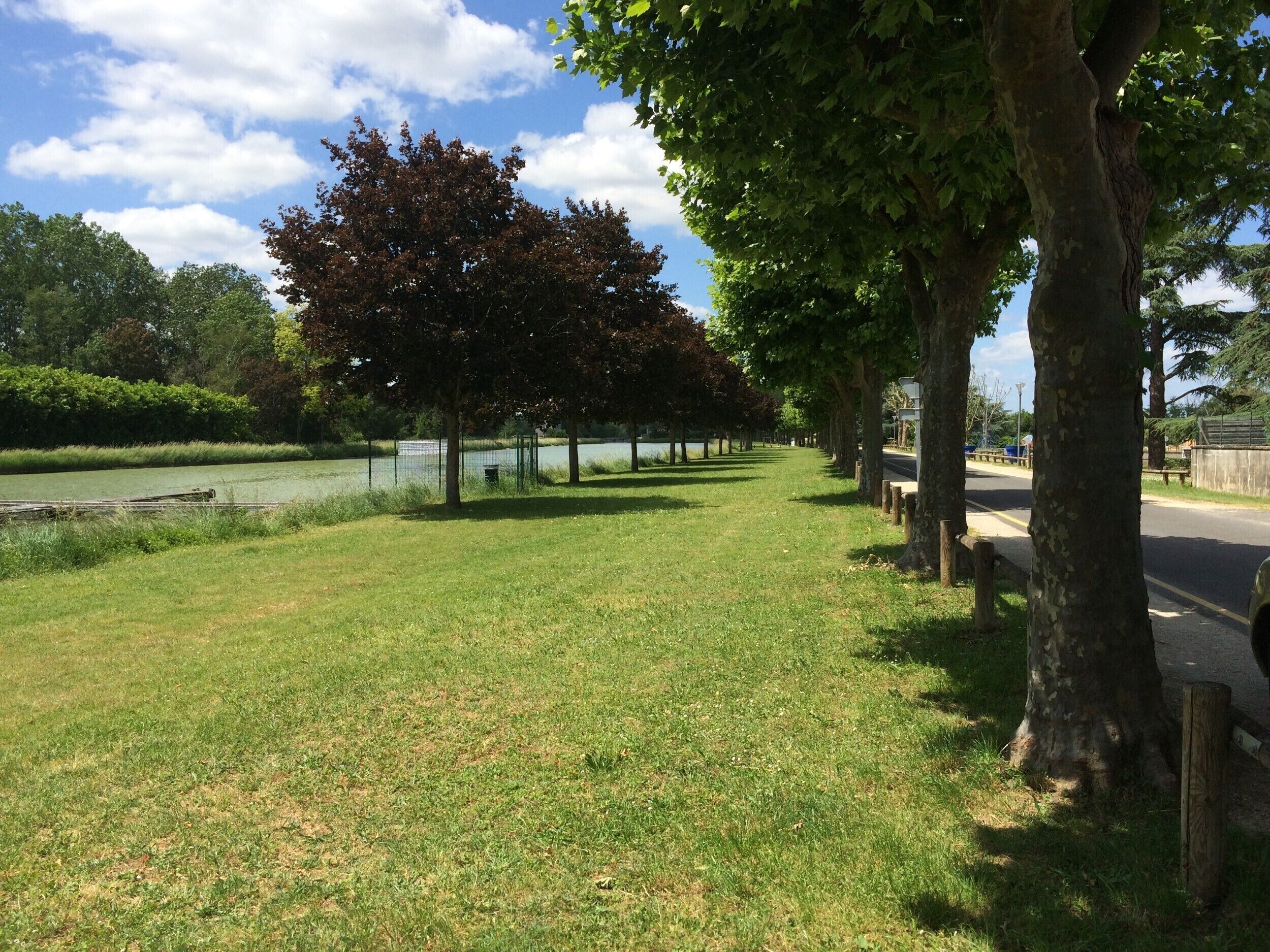 A park with a grassy area, trees, a fence, and a body of water.