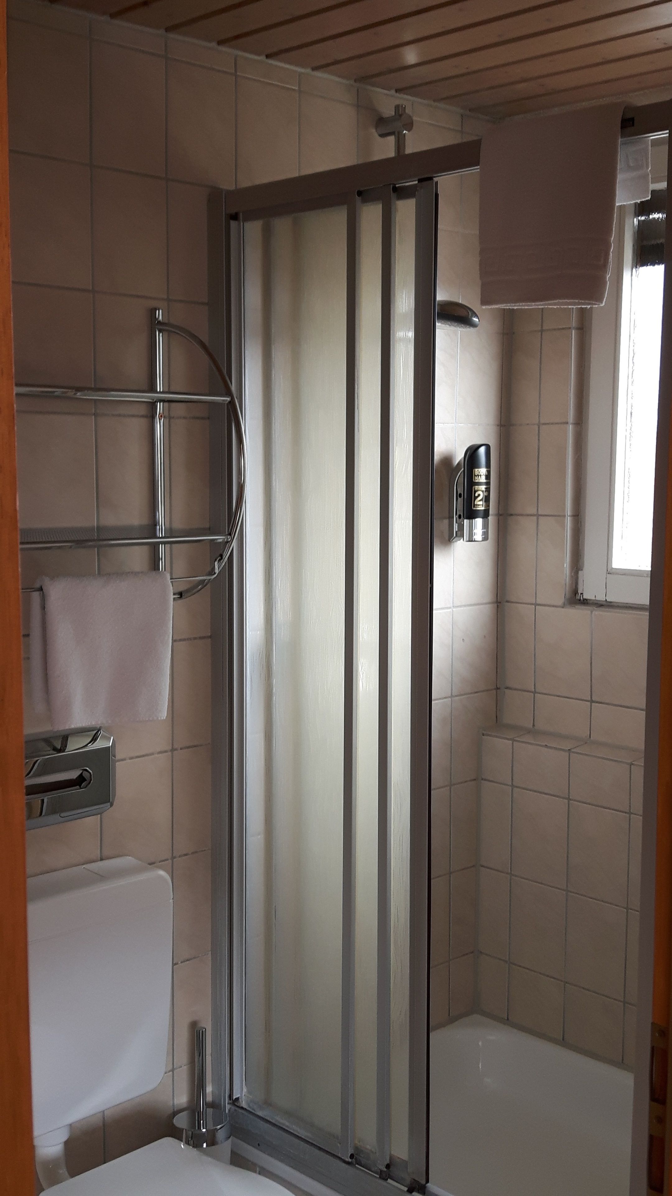 economy single room | bathroom | shower, free toiletries, hair dryer, towels