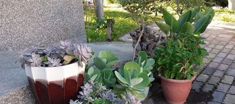 Sen Yun Zhuang Yuan Homestay