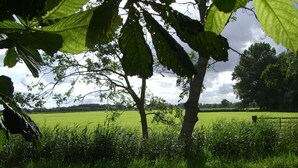 View from property - Atelierwohnung Friesenhaus Franke (Butjadingen)
