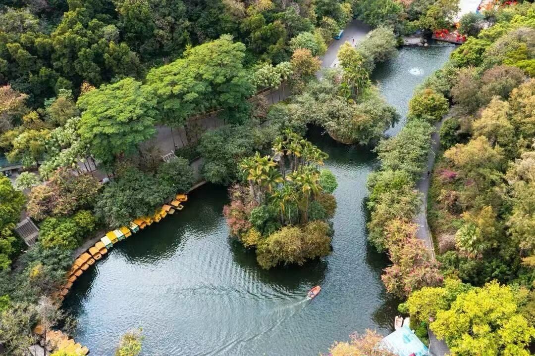 An aerial view of a river surrounded by dense greenery, a bridge with yellow and green railings, and a small island with trees.