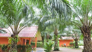 A courtyard with palm trees, a red-roofed building, and a pathway. - Palm Kaew Resort Krabi (Krabi)