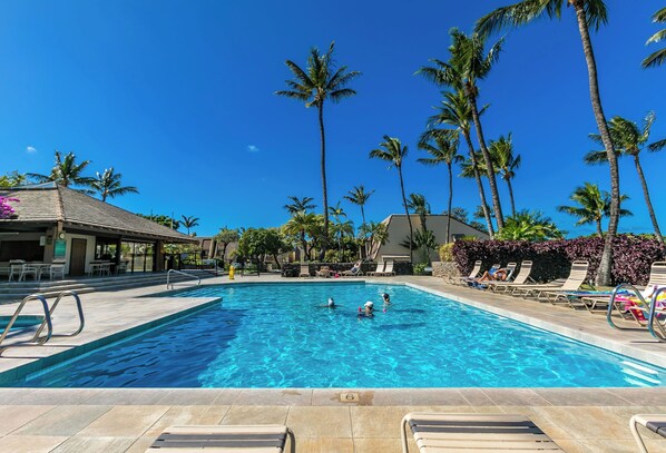 A swimming pool with clear blue water, surrounded by palm trees and lounge chairs.
