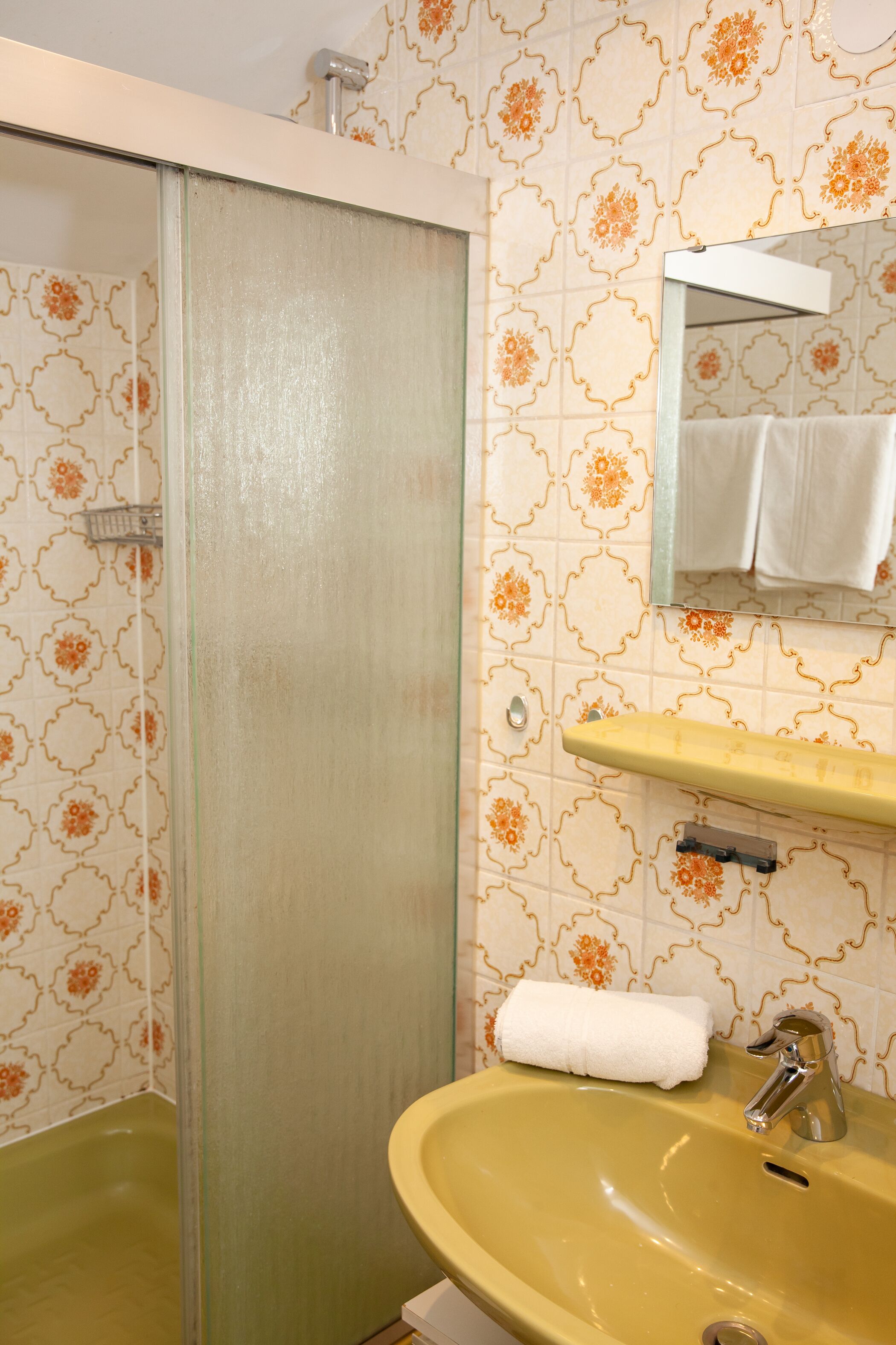 house (goldenes land; incl.70€ cleaning fee) | bathroom | shower, towels