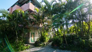A building with a green door, surrounded by dense tropical vegetation and a gravel path. - Pasa Beach Resort (Beinan)