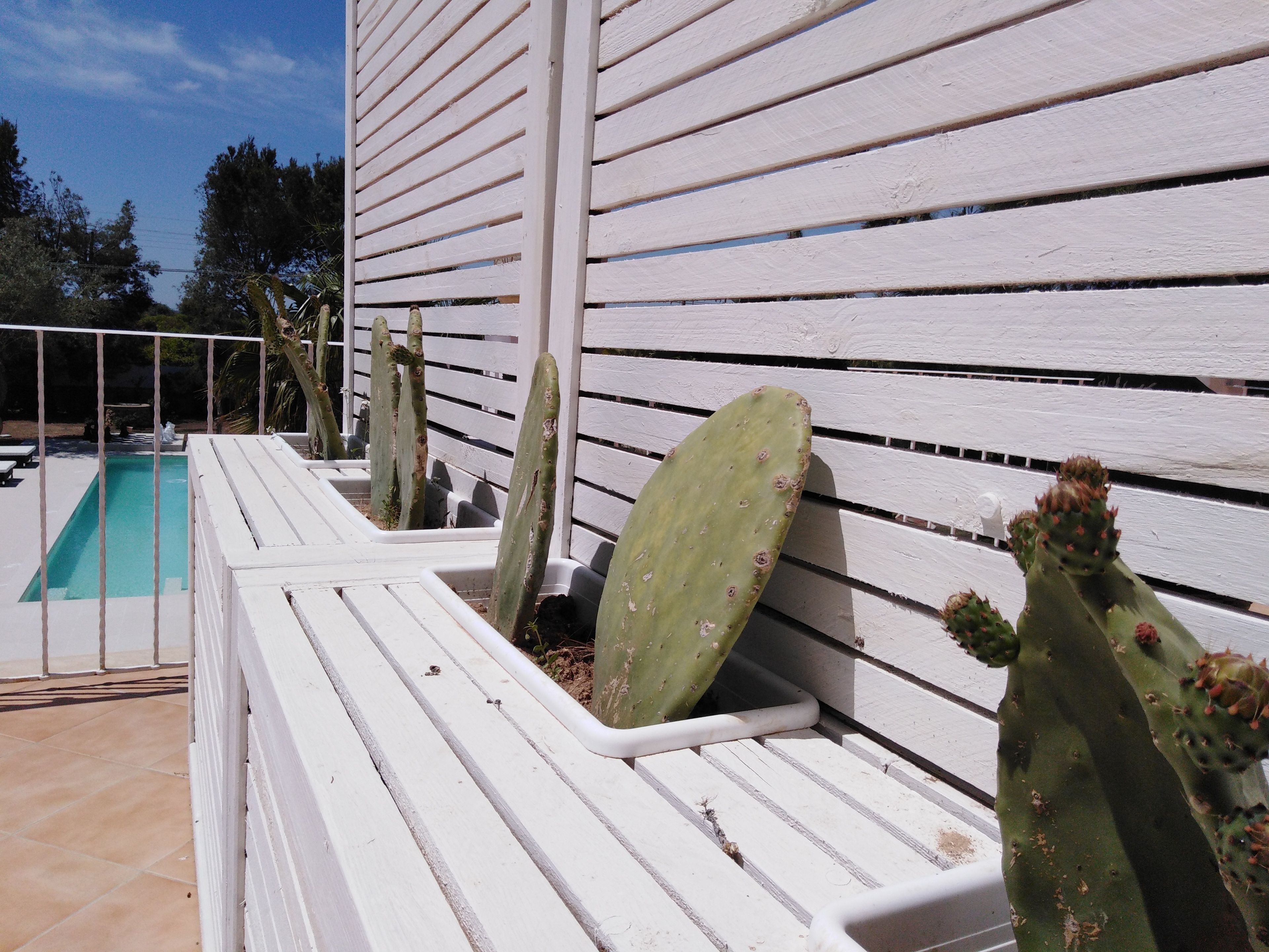 Teras/patio
