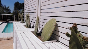 Terraço/pátio