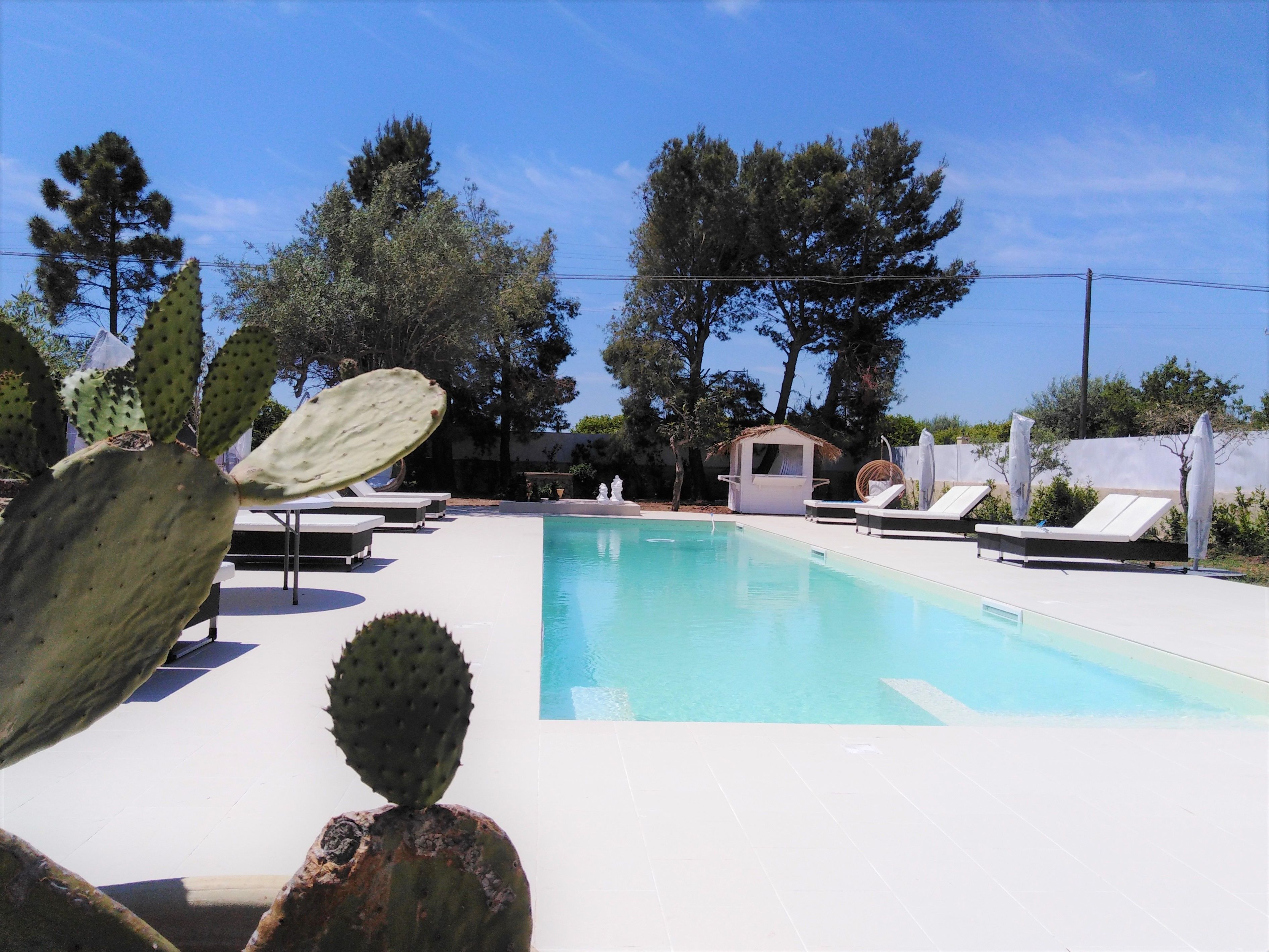 Hồ bơi ngoài trời 