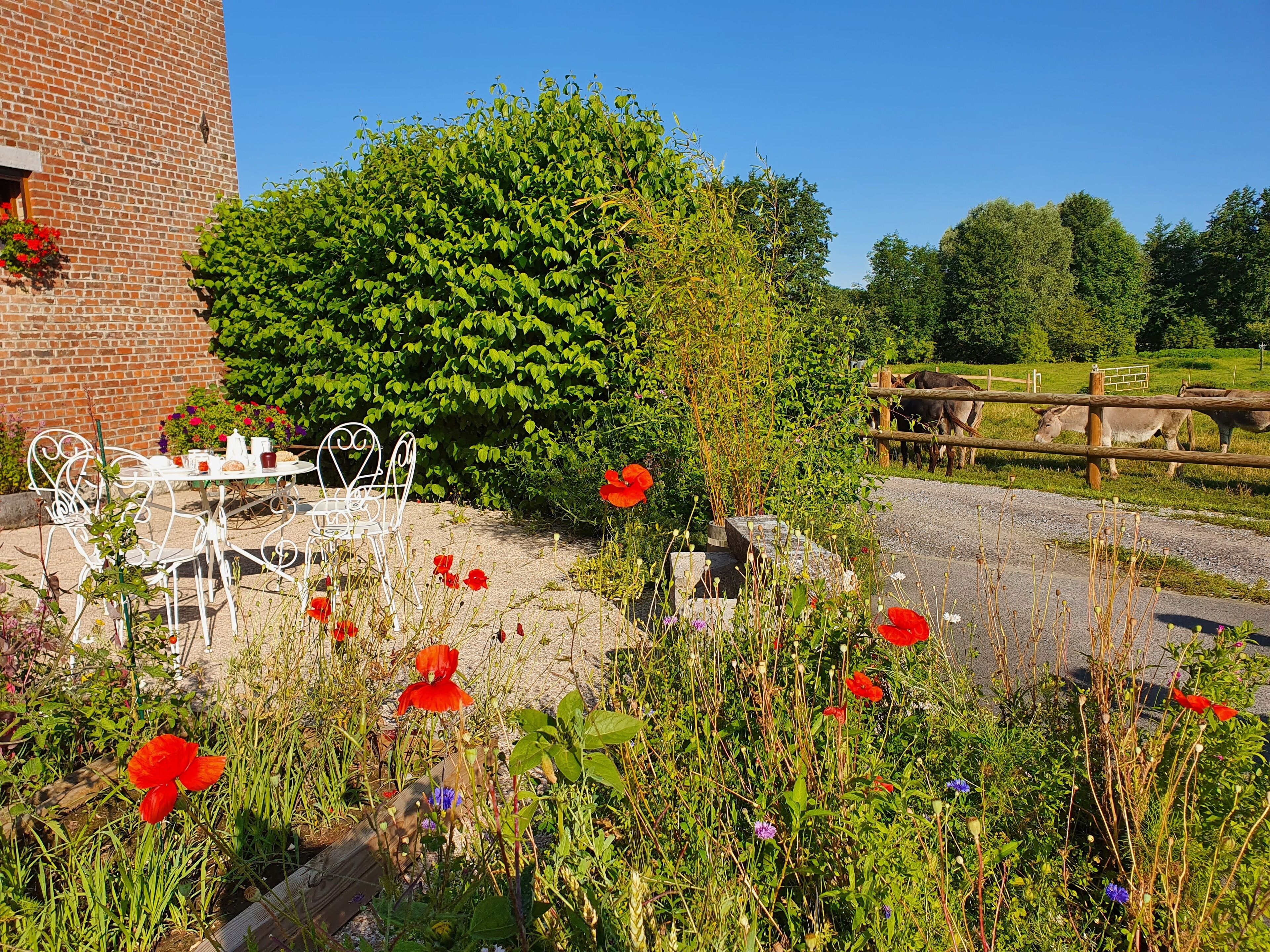 Blick auf die Umgebung