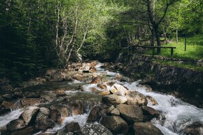 A rocky stream flowing through a forested area with a stone wall and wooden bridge.