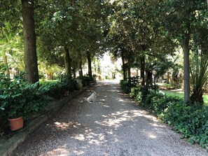 A gravel pathway lined with trees and potted plants, leading to a building in the distance. - Villa Berghella (Montesilvano)