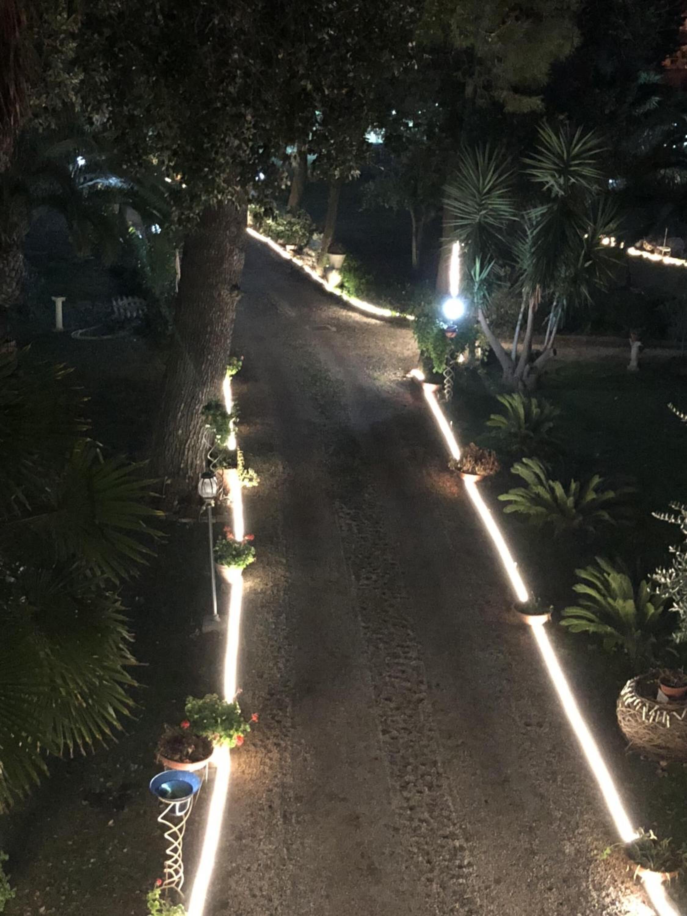 Un sendero bordeado de árboles e iluminado por luces colgantes.