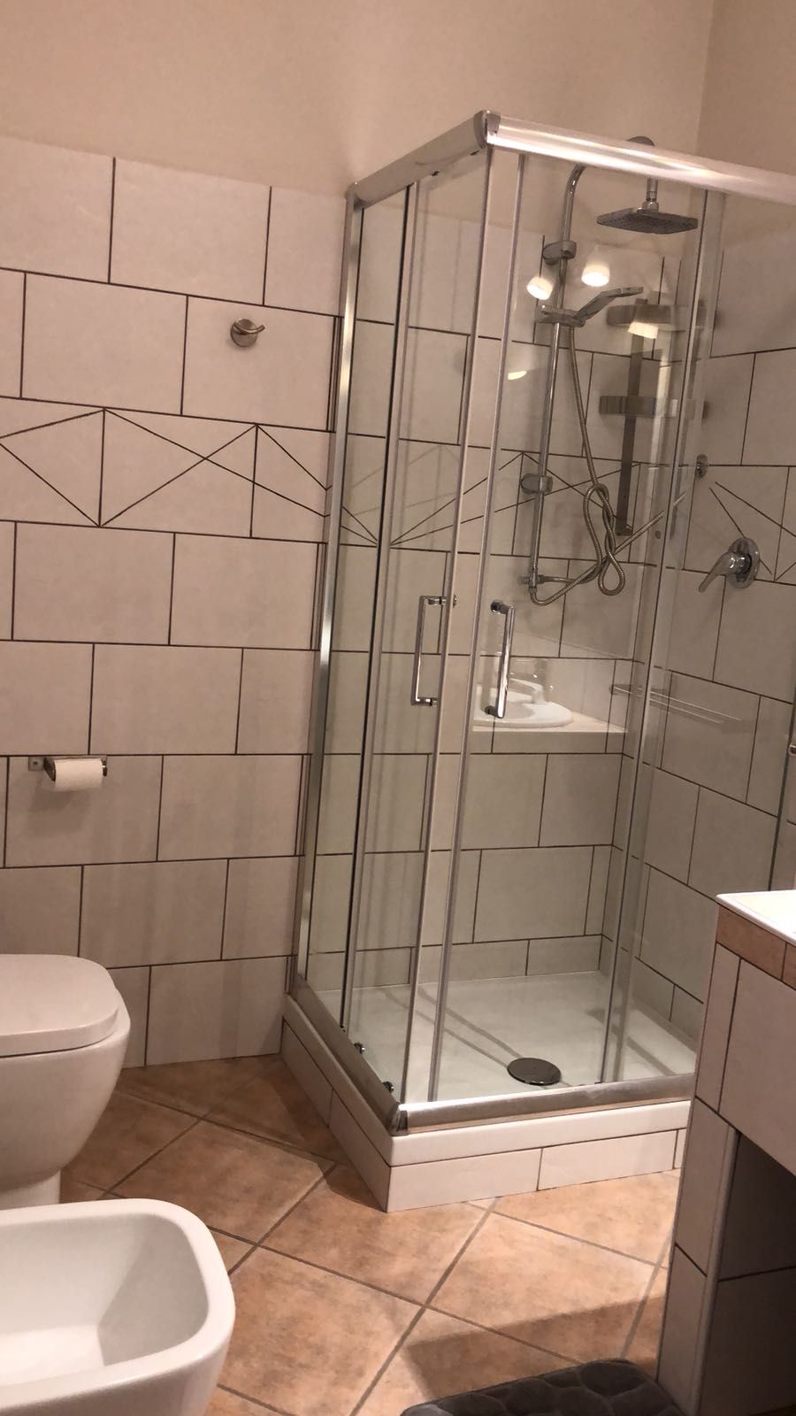 A glass-enclosed shower with a handheld showerhead, a toilet, and a bidet.