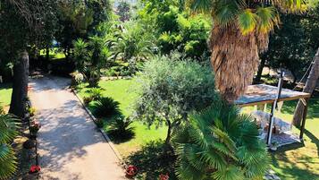 Un sendero en un jardín que serpentea entre abundante vegetación, con diversas plantas y árboles.
