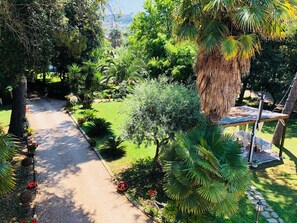 A garden pathway leading through lush greenery with a variety of plants and trees. - Villa Berghella (Montesilvano)