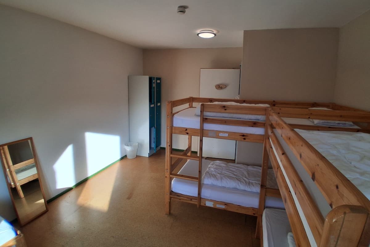 A bunk bed room with a desk, a wardrobe, and a refrigerator.