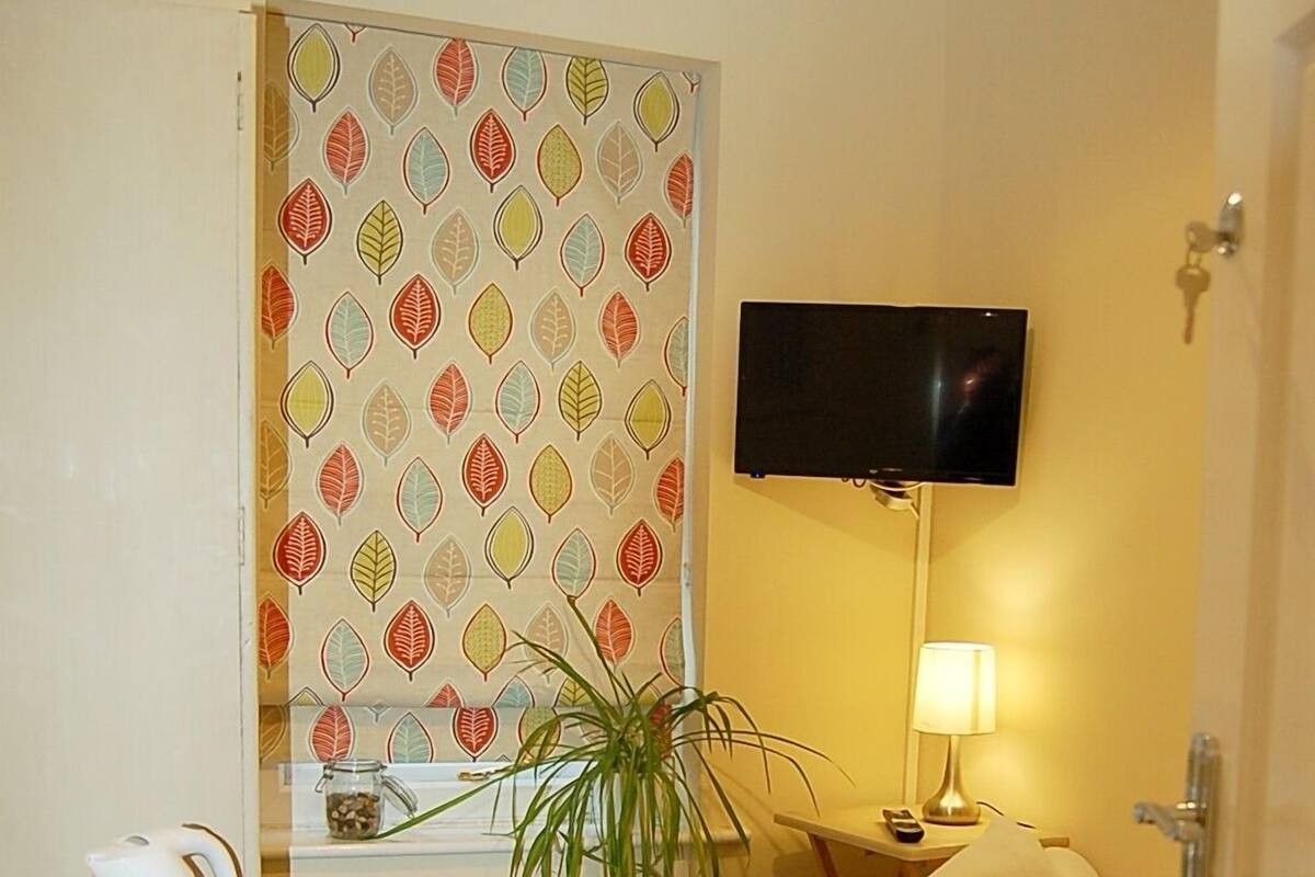 A hotel room with a bed, a TV mounted on the wall, a desk with a kettle, a lamp, and a potted plant.