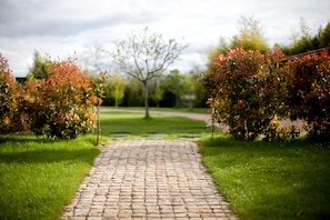 Familjesvit - 2 sovrum - eldstad (Métal) | Utsikt från rummet