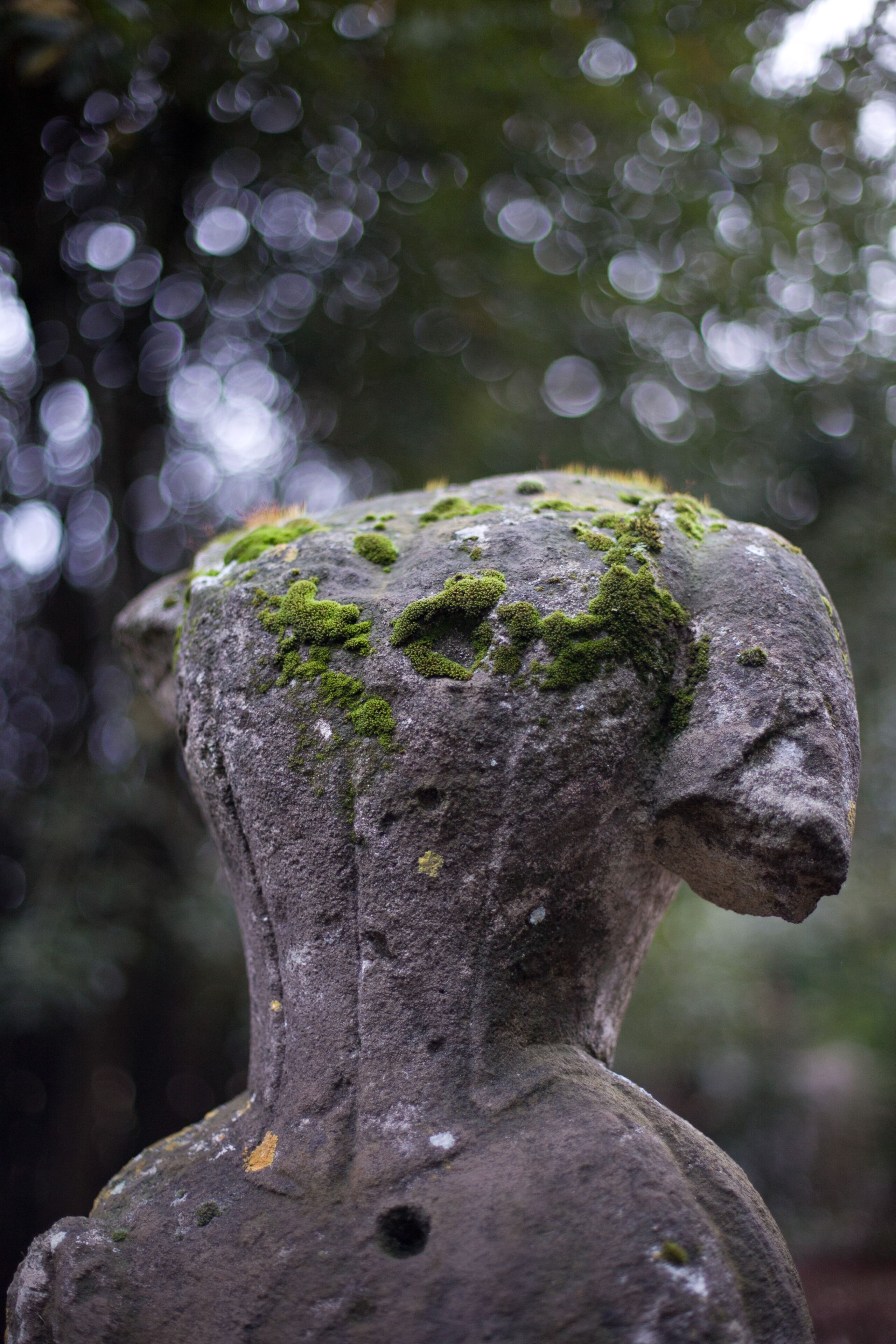 Una escultura de piedra cubierta de musgo, sobre un fondo borroso de árboles.