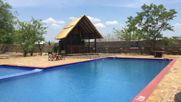 Outdoor pool, sun loungers