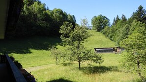 A view of a green field with a wooden structure in the distance, surrounded by trees. - Liebertingerhof (Reit im Winkl)