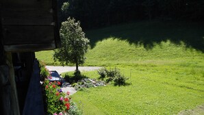 A view of a green lawn with a tree and a parked car. - Liebertingerhof (Reit im Winkl)
