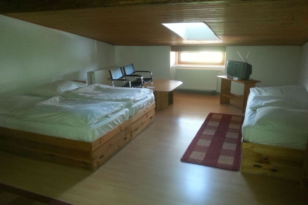 A small, cozy room with a loft bed, a desk, a chair, and a television.